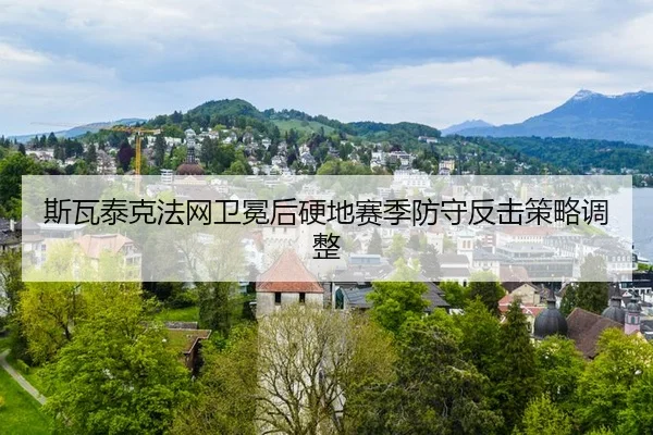 si-wa-tai-ke-fa-wang-wei-mian-hou-ying-di-sai-ji-fang-shou-fan-ji-ce-lve-tiao-zheng-3-891.jpg
