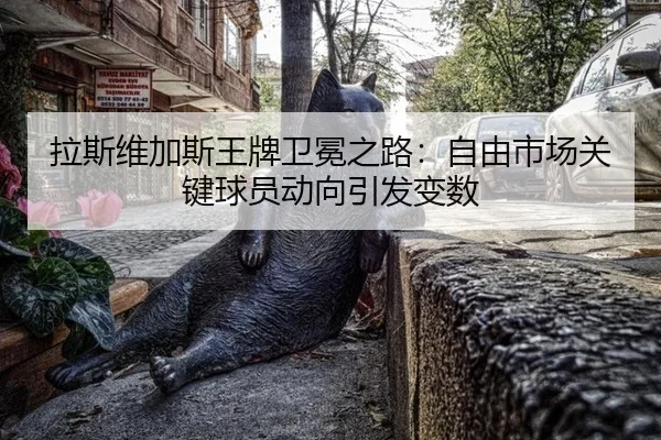 la-si-wei-jia-si-wang-pai-wei-mian-zhi-lu-zi-you-shi-chang-guan-jian-qiu-yuan-dong-xiang-yin-fa-bian-shu-3-315.jpg