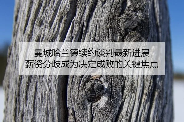 man-cheng-ha-lan-de-xu-yue-tan-pan-zui-xin-jin-zhan-xin-zi-fen-qi-cheng-wei-jue-ding-cheng-bai-de-guan-jian-jiao-dian-2-573.jpg