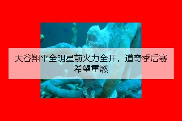 da-gu-xiang-ping-quan-ming-xing-qian-huo-li-quan-kai-dao-qi-ji-hou-sai-xi-wang-zhong-ran-2-314.jpg