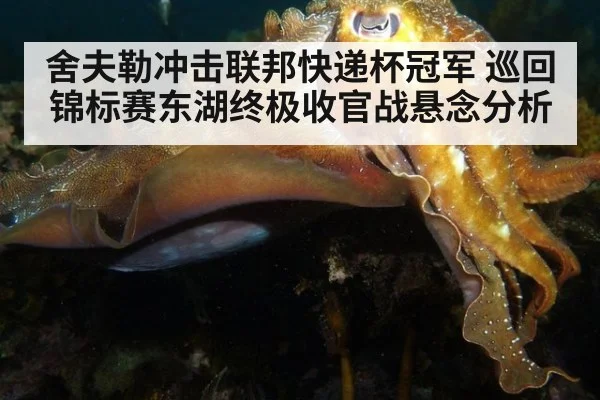 舍夫勒冲击联邦快递杯冠军 巡回锦标赛东湖终极收官战悬念分析
